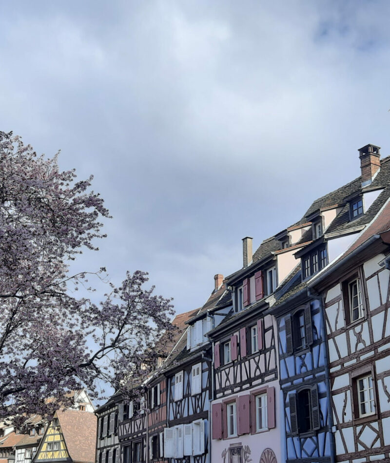 COLMAR 1_ORIZZ