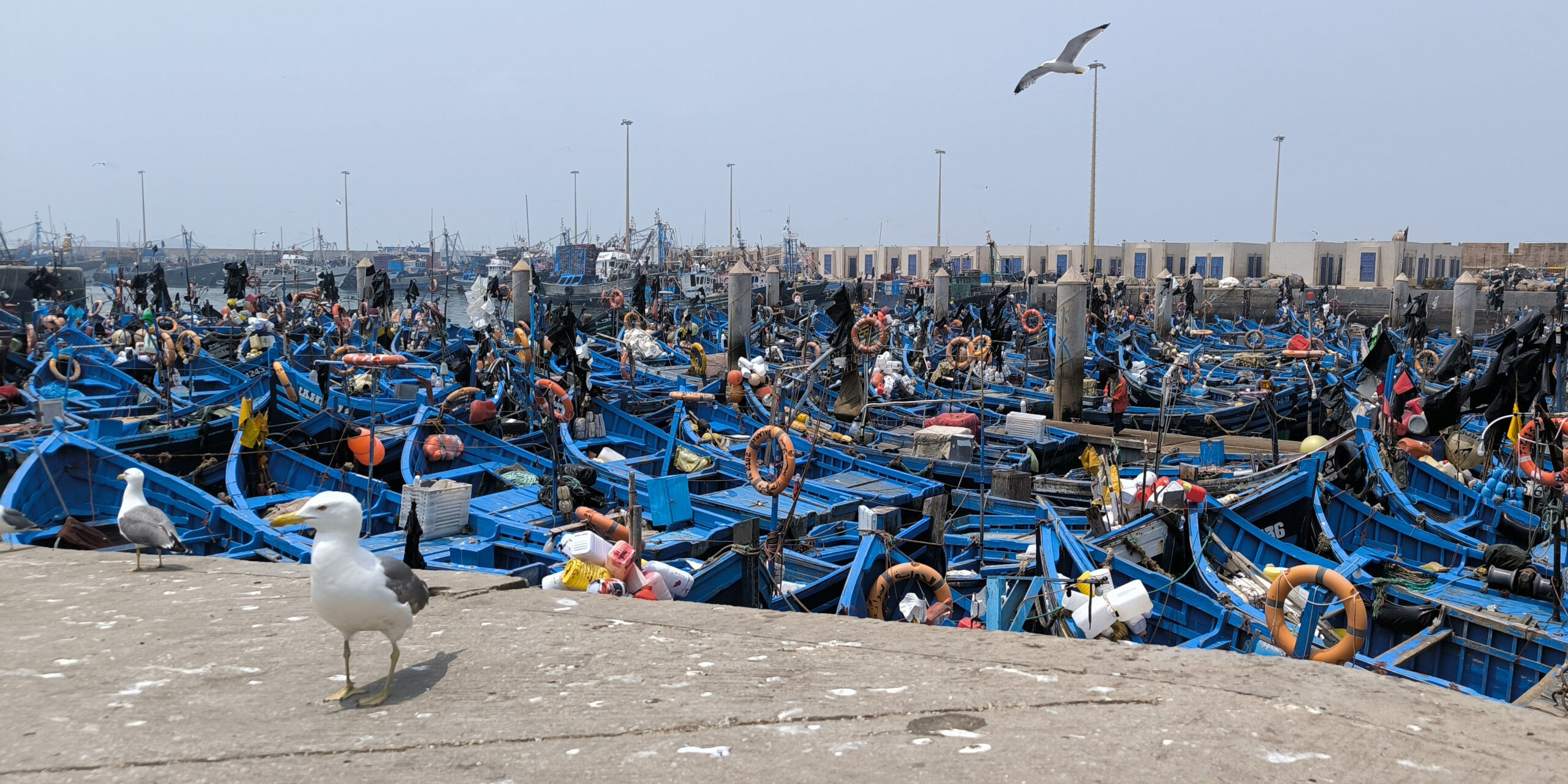 IL PORTO DI ASSAOUIRA