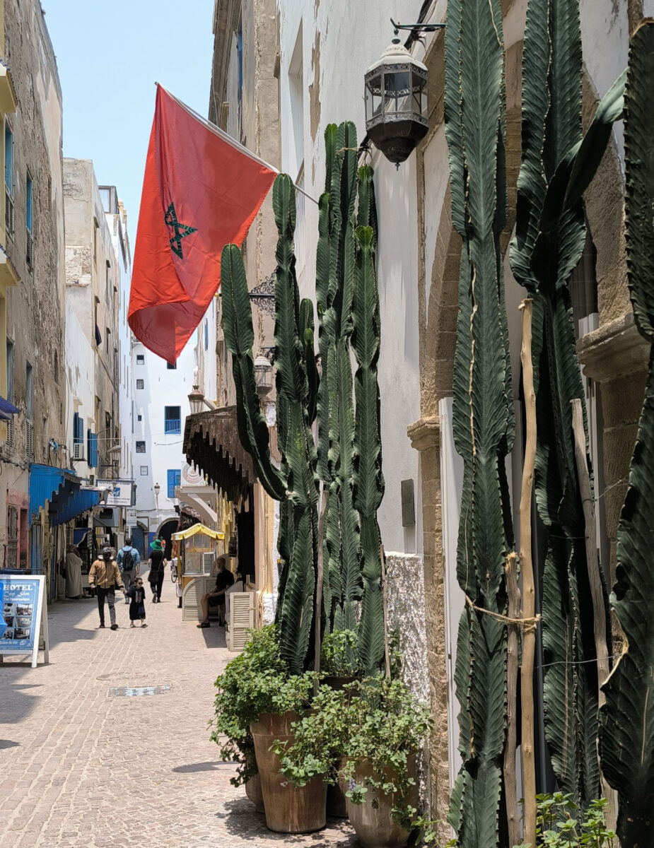 ESSAOUIRA VICOLO ESSAOUIRA VICOLO