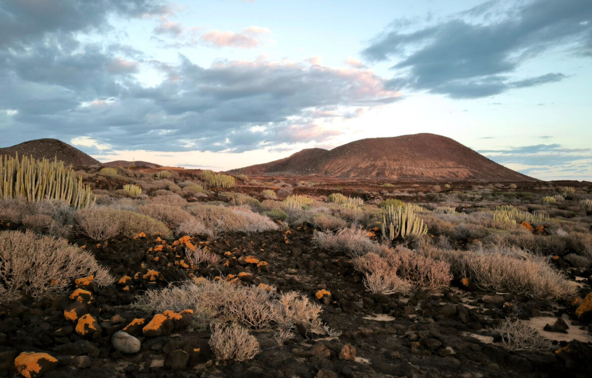 tenerife_canarie_malpais de rasca
