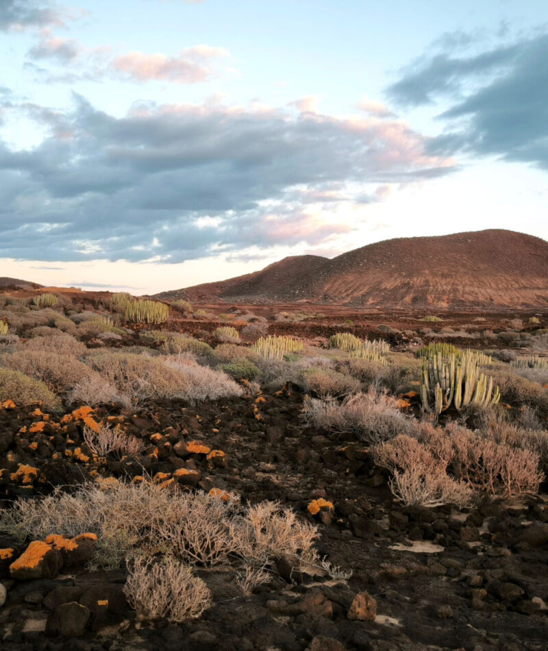 tenerife_canarie_malpais de rasca